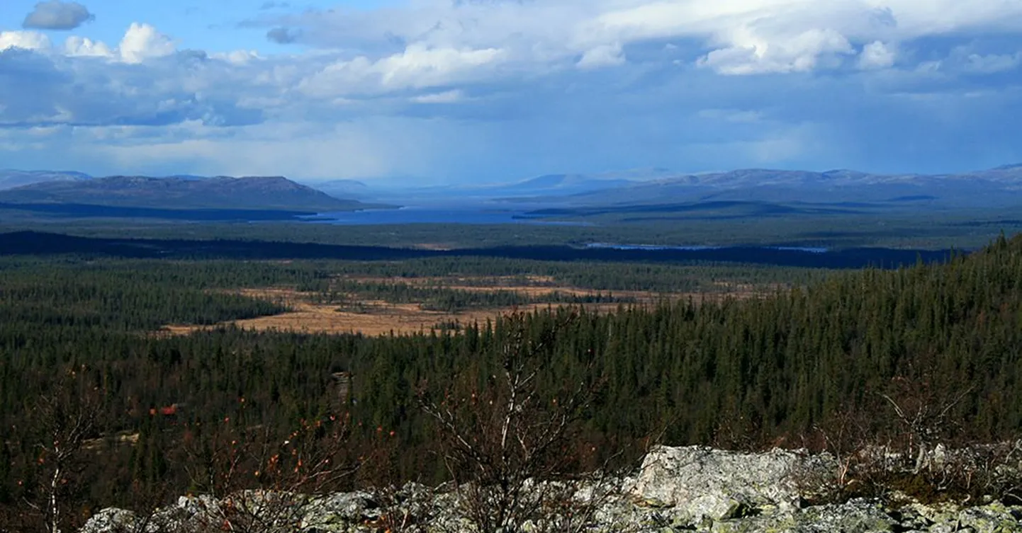 Norra ja Rootsi piiril asuv Femundsmarka rahvuspark