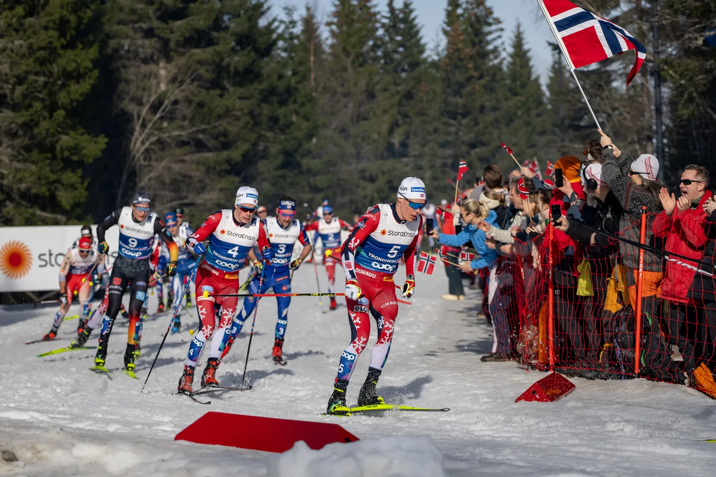 Trondheimi MMil toimunud meeste 50 km maraton.