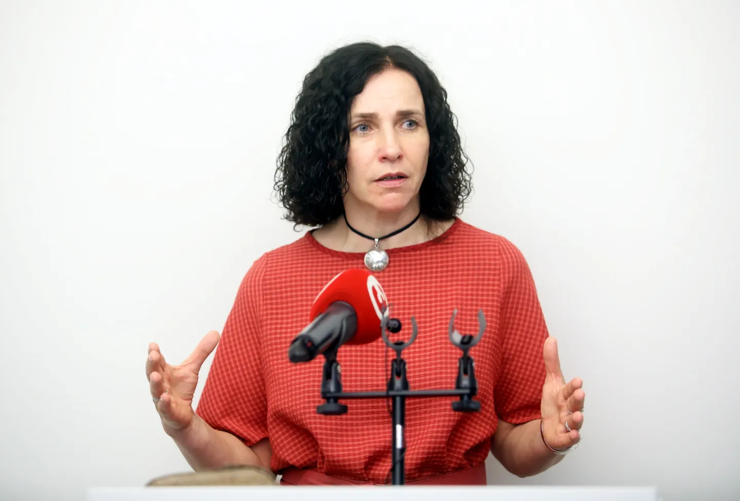 Izglītības un zinātnes ministre Ilga Šuplinska