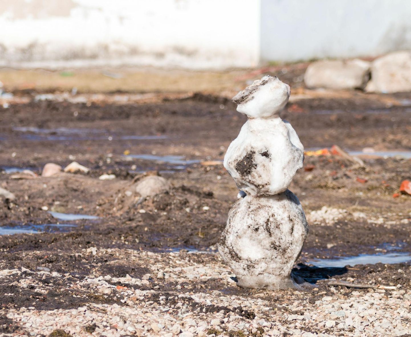 Бедный снеговик явно заждался весны.