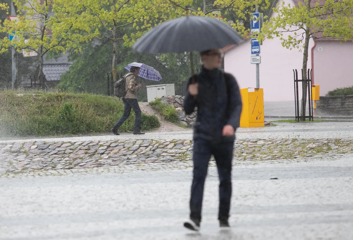 Vihmasadu. Pilt on illustreeriv.