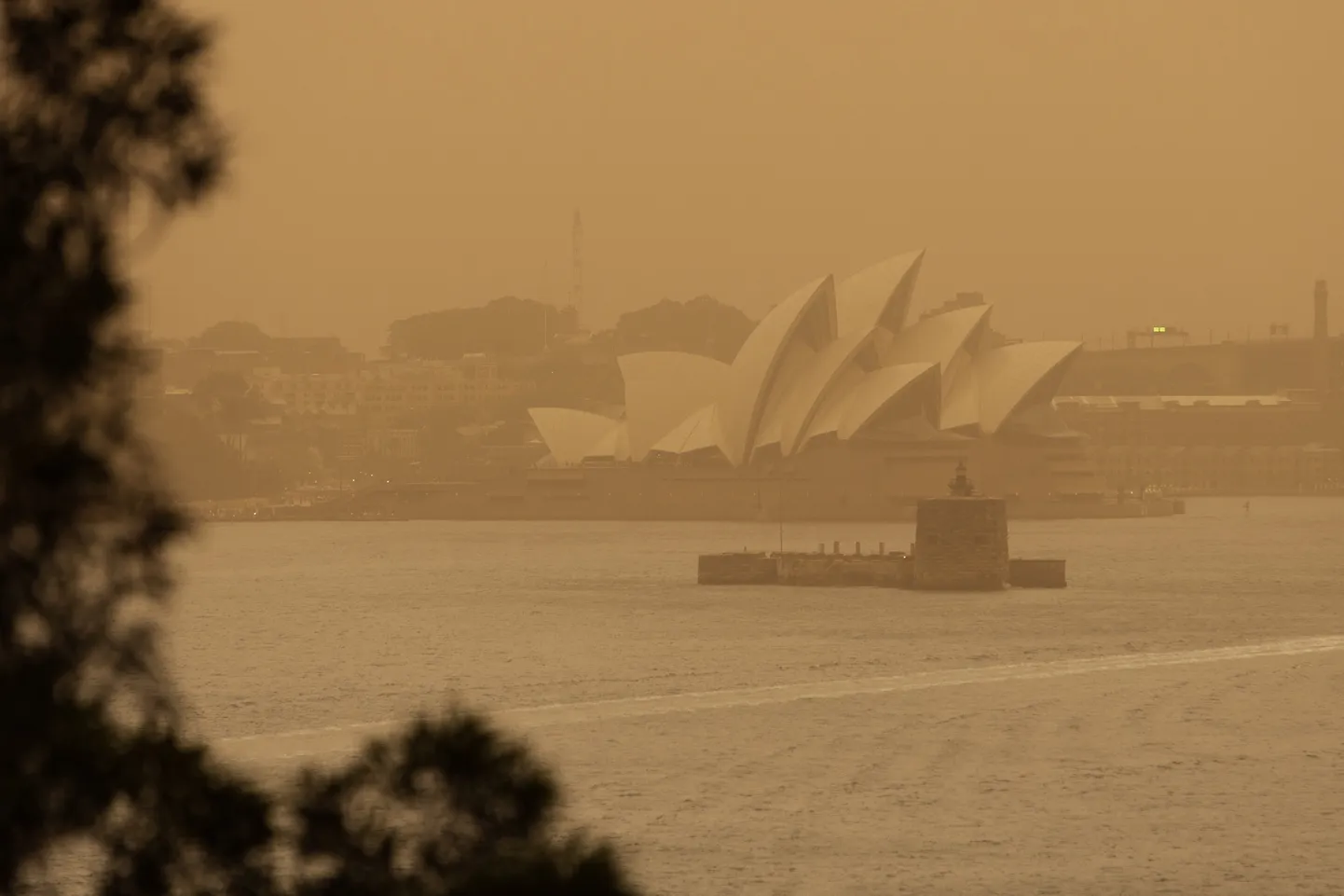 Sydney ooperimaja põlengutest tekkinud sudu sees.