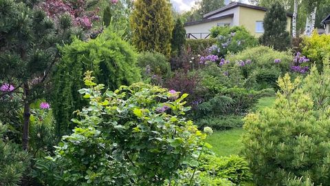 В Хааберсти снова ищут самый красивый сад района