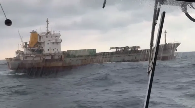 Shunxing 39