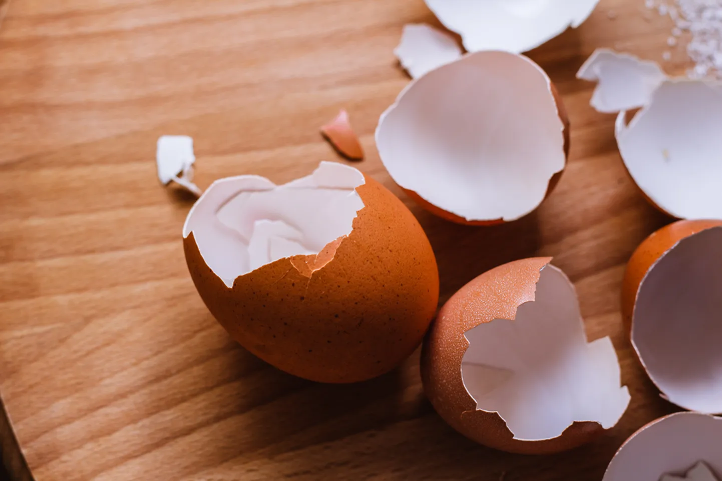 eggshell
