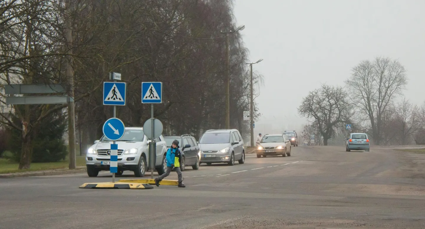 Rakvere reaalgümnaasiumi juures olev sebra.