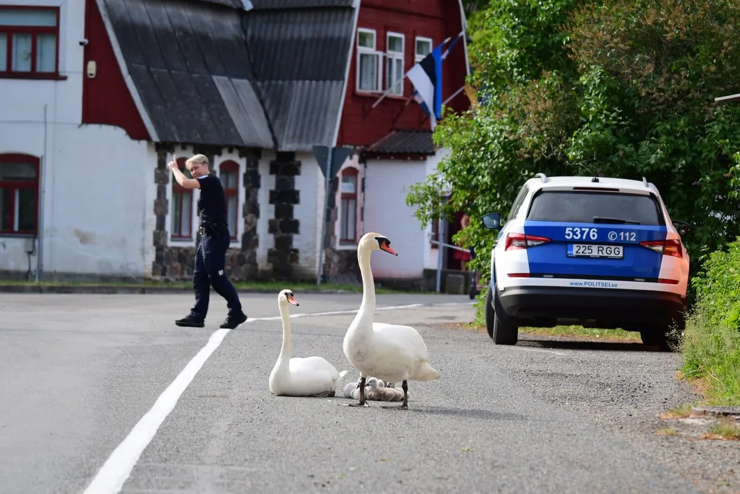 Luiged vajasid teeületamiseks turvameeskonda.