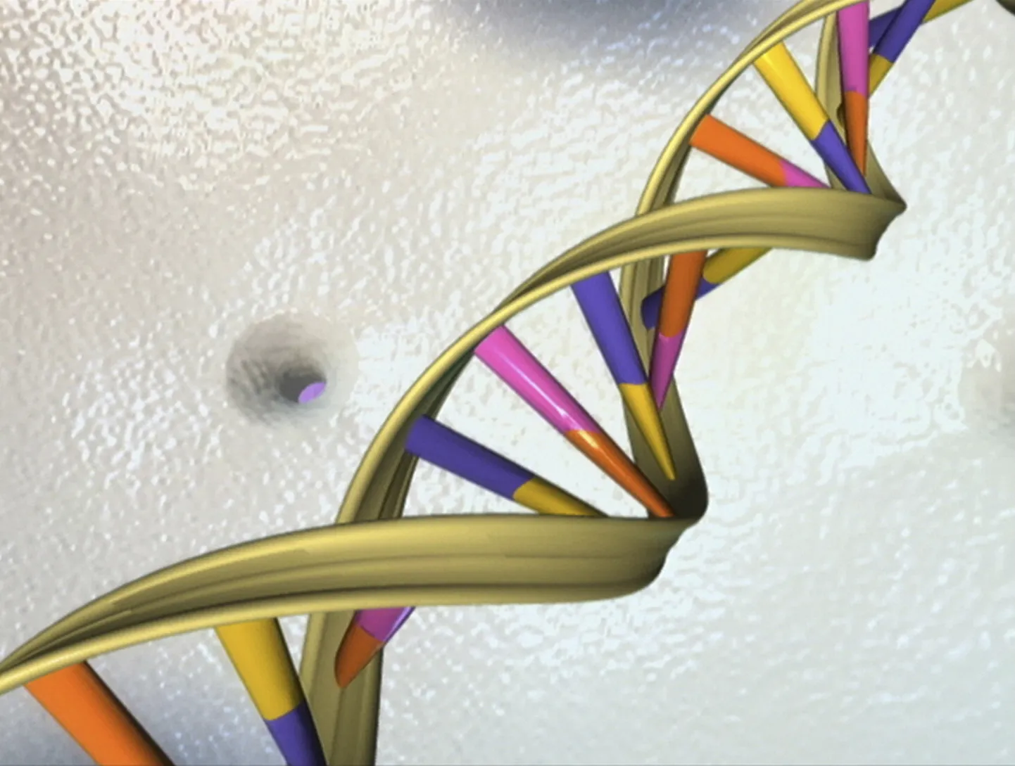 DNA kaksikheeliks.
