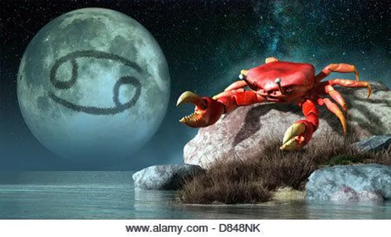 Artikli foto