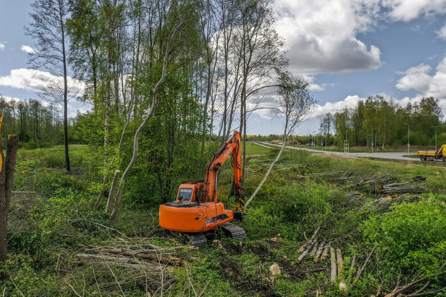 Ehitust alustati puude ja võsa mahavõtmisega.