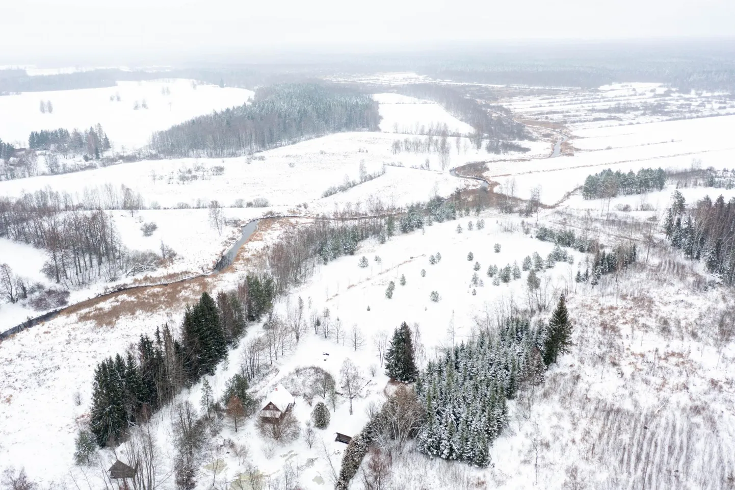 Riigikogu riigieelarve kontrolli erikomisjon peab täna avaliku istungi, et arutada Nursipalu harjutusvälja laiendamise plaane. Fotol on Laosaare küla, mis jääb osaliselt planeeritava Nursipalu harjutusvälja piiri äärde.