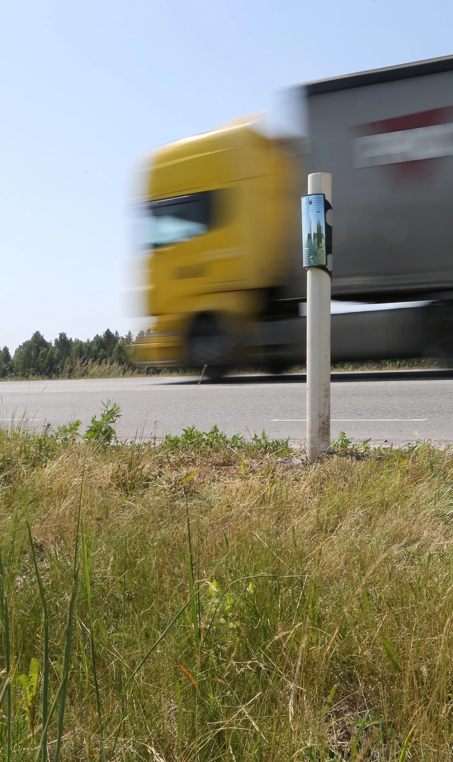 Kõik peeglitega varustatud helkurpostid elasid talve ja kevade üle kadudeta. See post seisab Jõgeva maantee ääres Maramaal.
