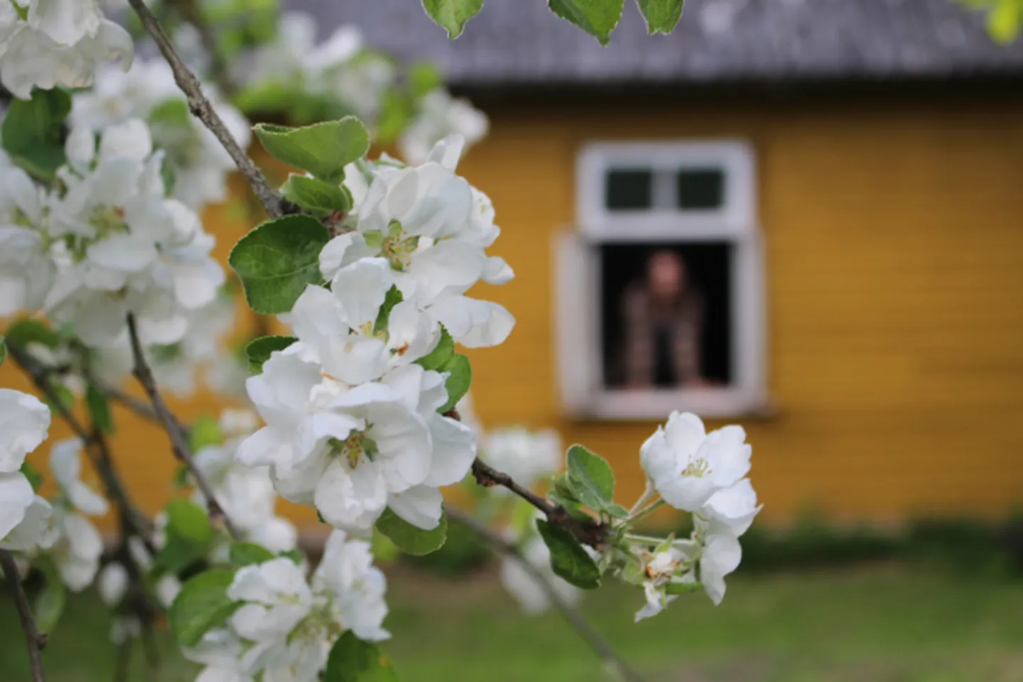Noorte arvates on väga oluline oma tegevusi piltidena jäädvustada.