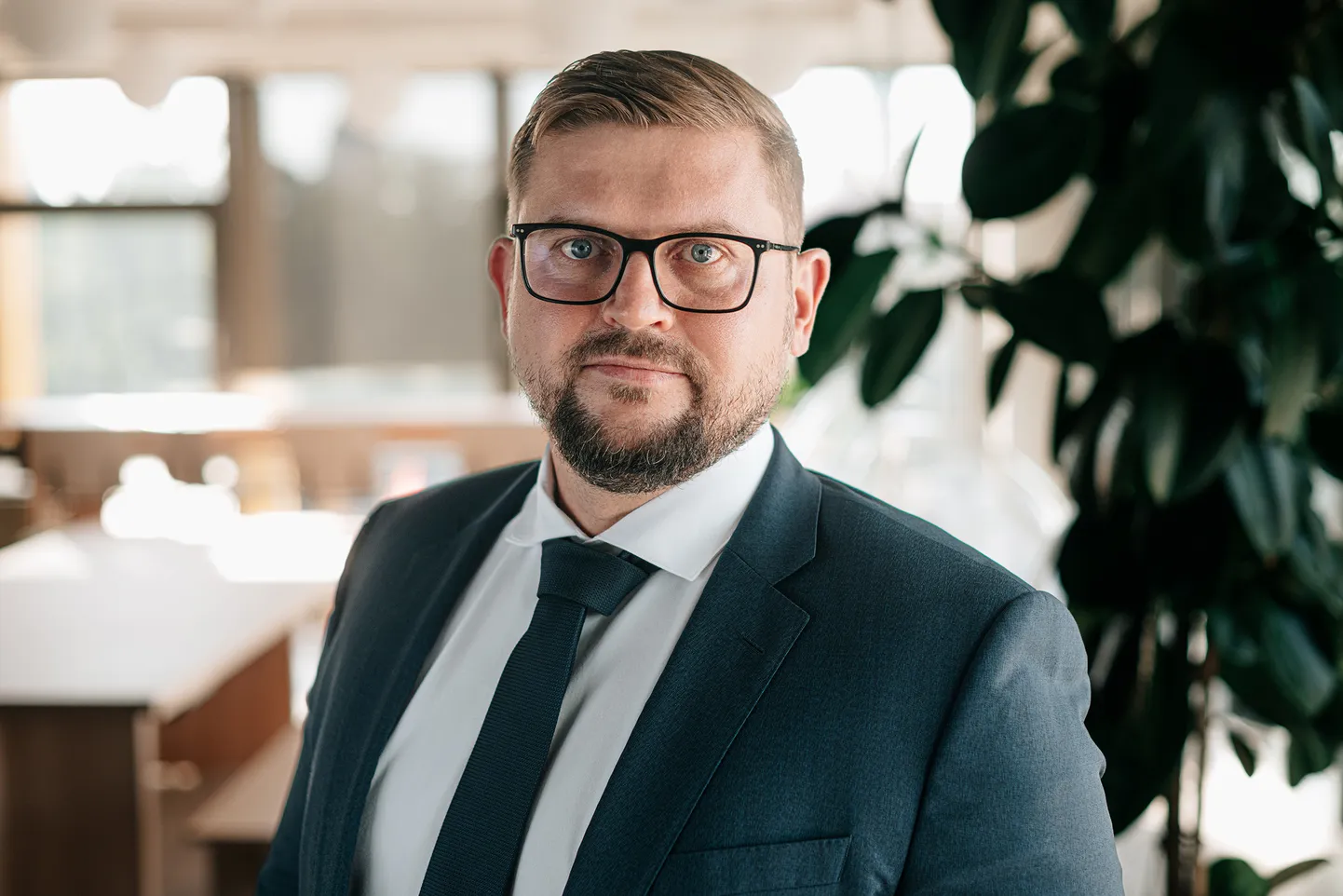 Kārlis Purgailis, "Citadele" ekonomists