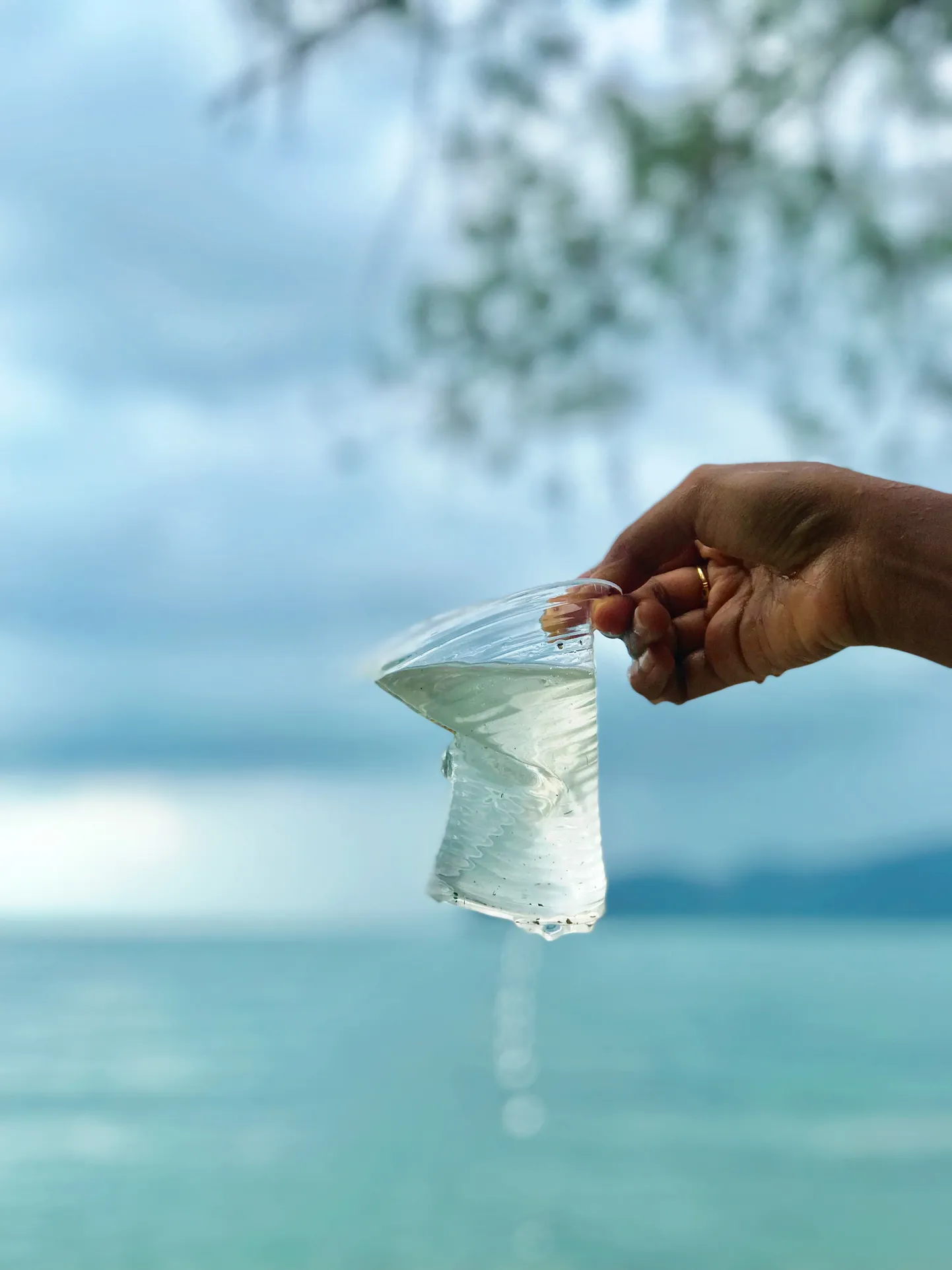 Eesti asub ühekordsete plastnõudega võitlusesse!
