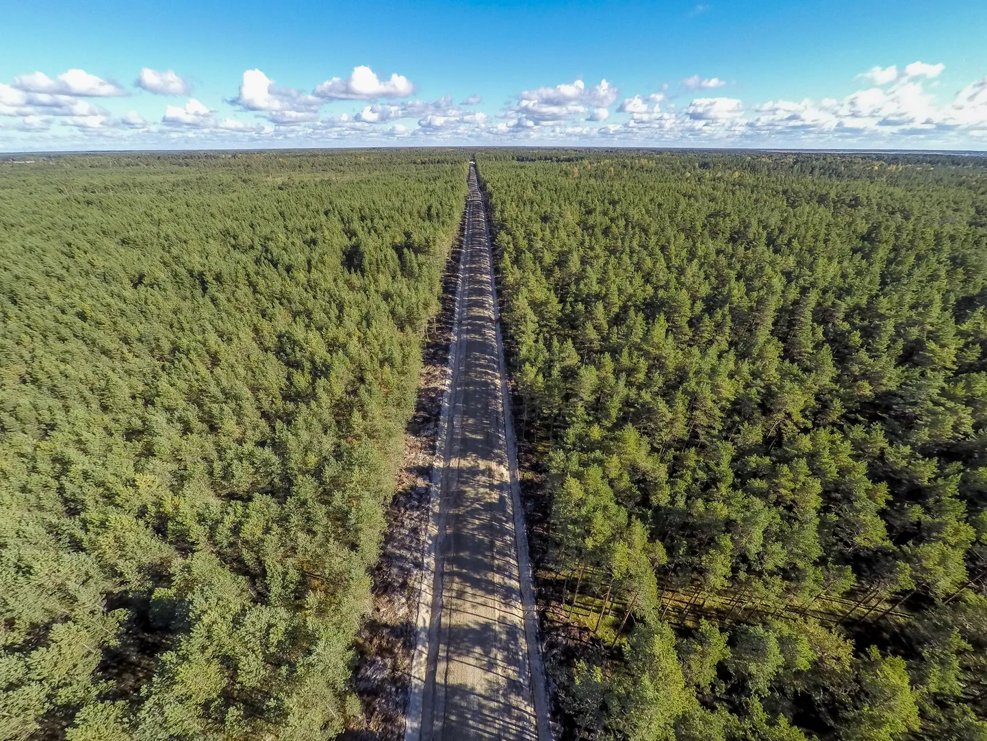 Korras metsateed lubavad metsamaterjali metsast välja vedada pinnast kahjustamata.