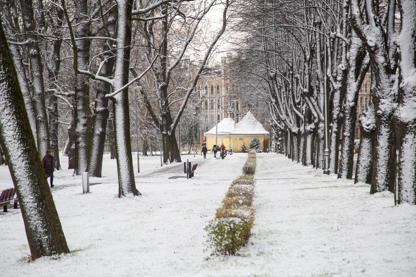 Kronvalda parks.