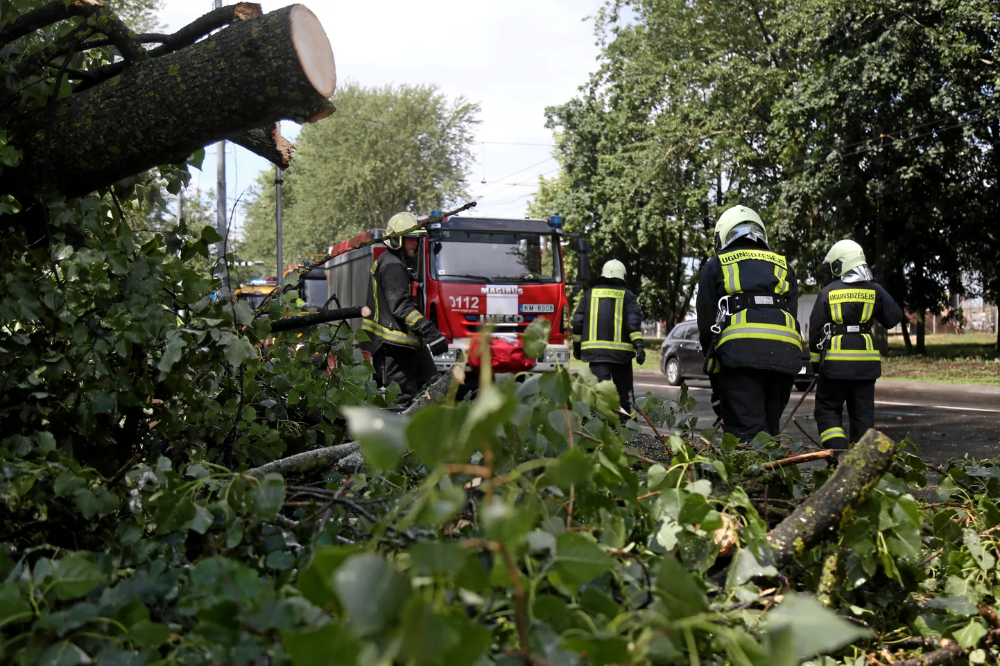 Ugunsdzēsēji glābēji novāc stipro vēja brāzmu laikā nolūzušo koku Salaspils ielā pie pieturvietas "Jāņavārti", kā rezultātā līdz stundai kavējas kustība 15.trolejbusa un 18.autobusa maršrutos.