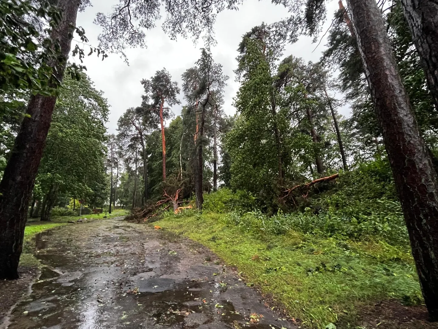 29.jūlija vētras postījumi Jūrmalā - aculiecinieka foto