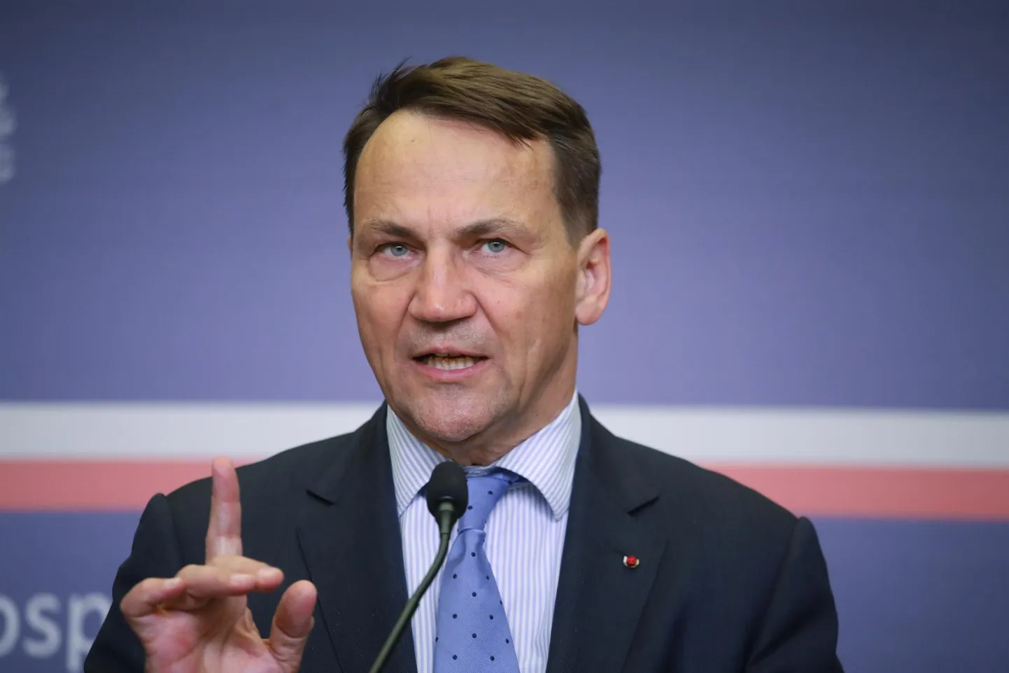 Poola ajakirjanik usub, et Radosław Sikorski nime võisid kaitsevoliniku kohale «lekitada» Lääne-Euroopa suurriikide esindajad eesmärgiga kõrvaldada mõjukas idaeurooplane konkurentsist.