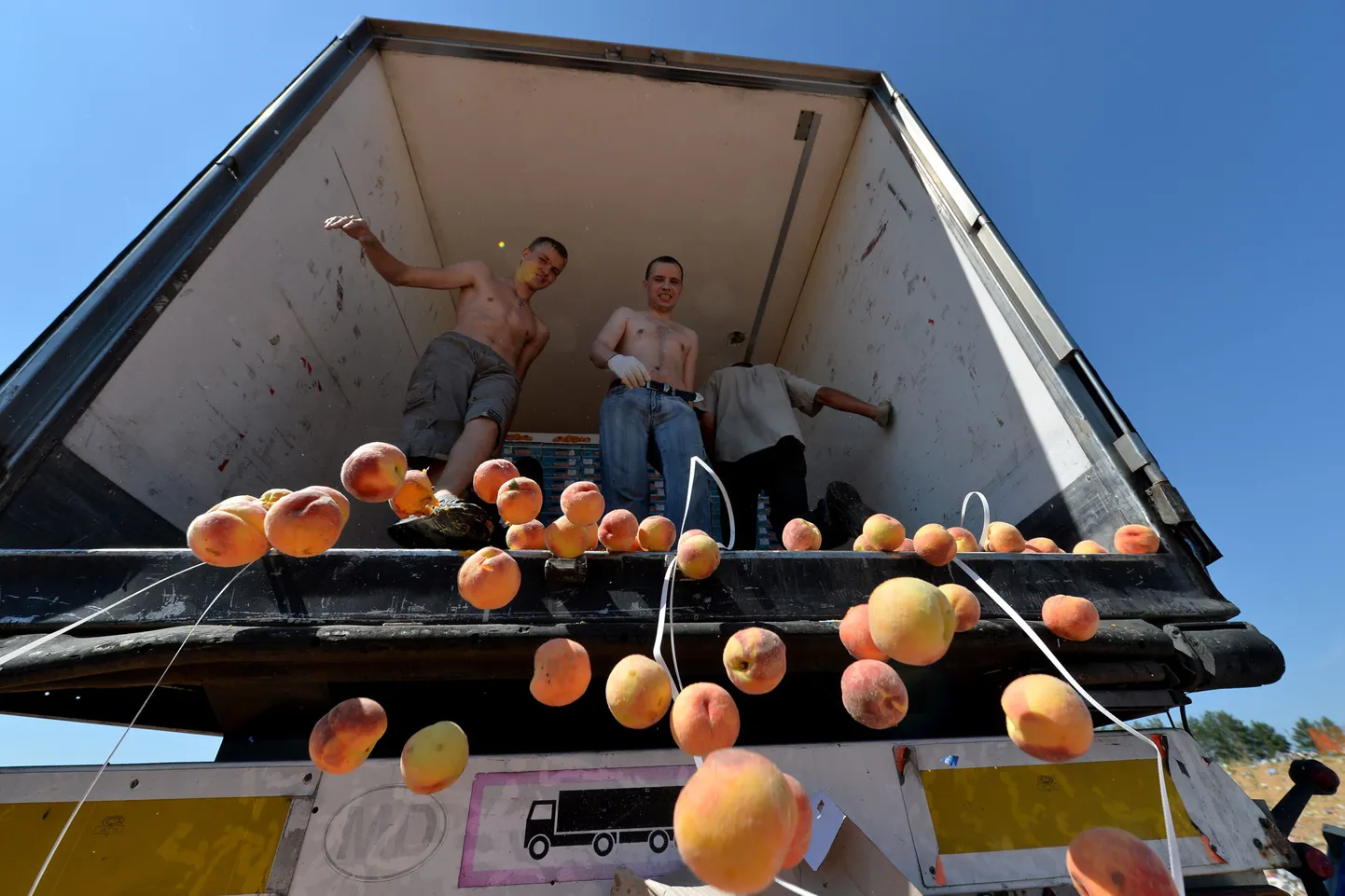 Рабочие выбрасывают запрещённые к импорту персики. Фото носит иллюстративный характер.