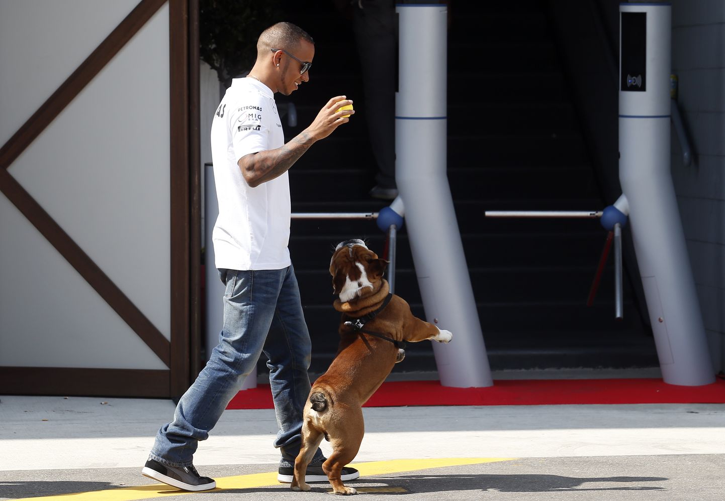 Vormel 1 piloot Lewis Hamilton oma koera Roscoega.