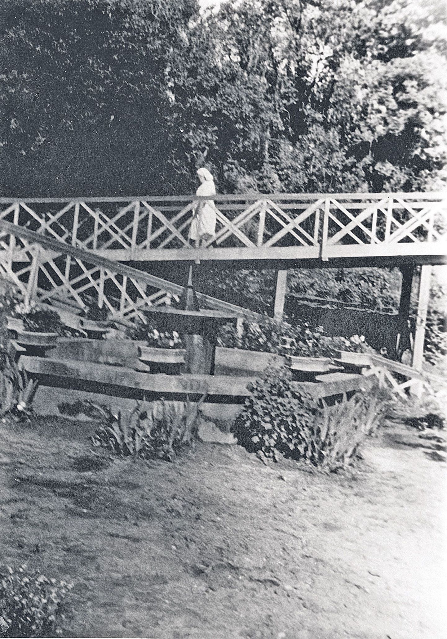 Urve Sõmeri erakogust pärit fotol on Kalevi 13 õuel asuv purskkaev millalgi aastail 1964–1968. Taamal on näha Kalevi tänava villas olnud sanatooriumi kaldteed.