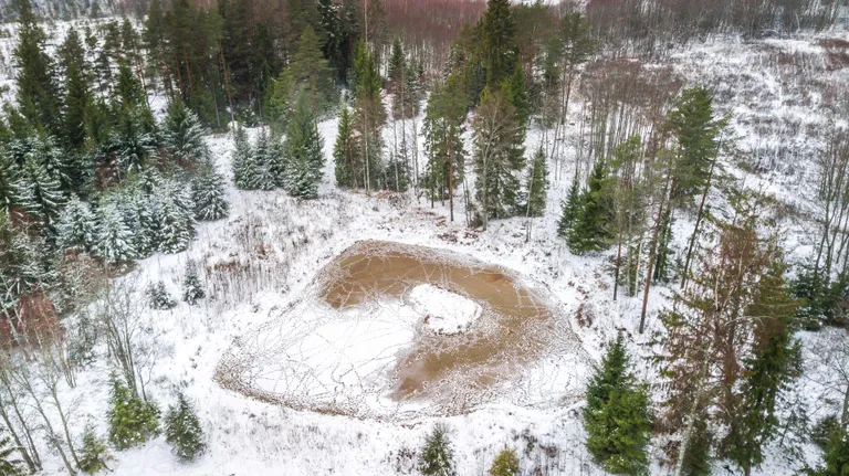 Raba on lummav aastaajast olenemata. Pildil Ohepalu rabajärv.