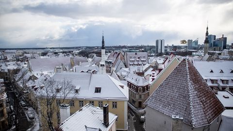 VIDEO ⟩ «Eksklusiivne jää otse vanalinnast!» Omapärane lumekoristusviis äratas tallinlase tähelepanu