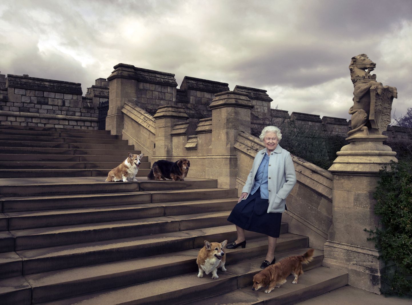 Kuninganna Elizabeth II oma koertega. Neist on endiselt elus vaid üks.