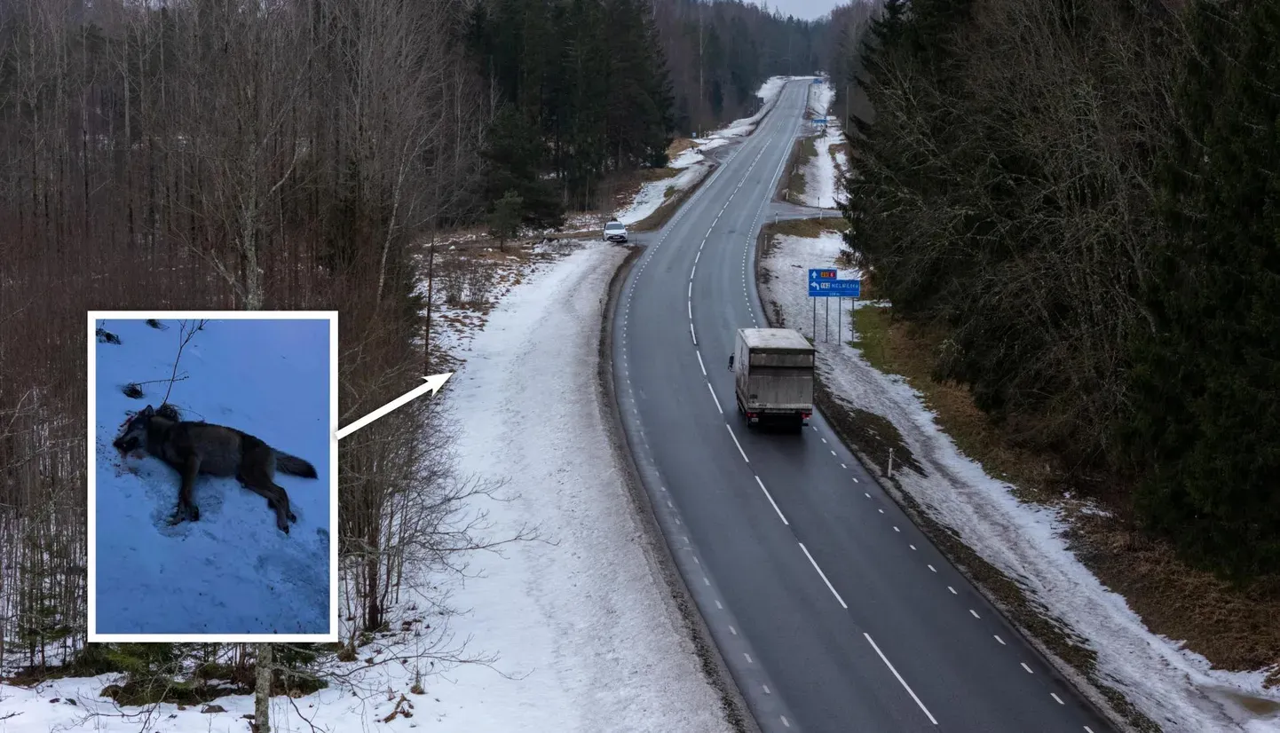 Место не самой заурядной автоаварии, имевшей место в Вильяндимаа утром 22 января.