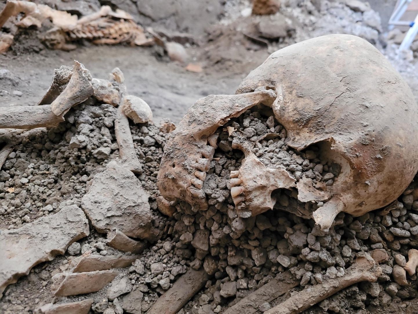 Pompei väljakaevamistel leitud inimluud.