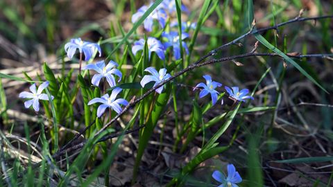 Latvijo zajel vročinski val, julij toplejši od povprečja