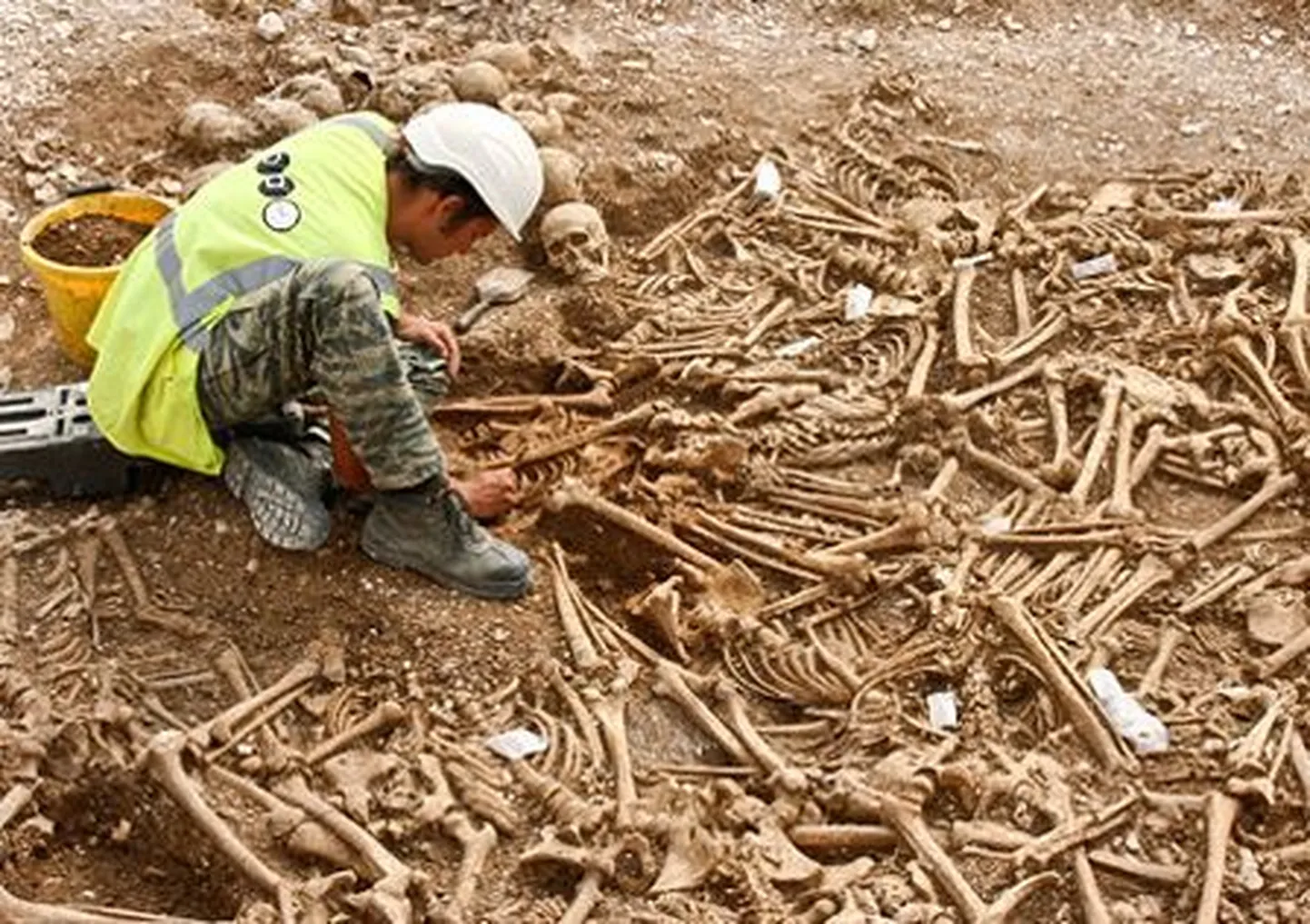 Briti saartelt leitud peata skeletid kuuluvad viikingitele?