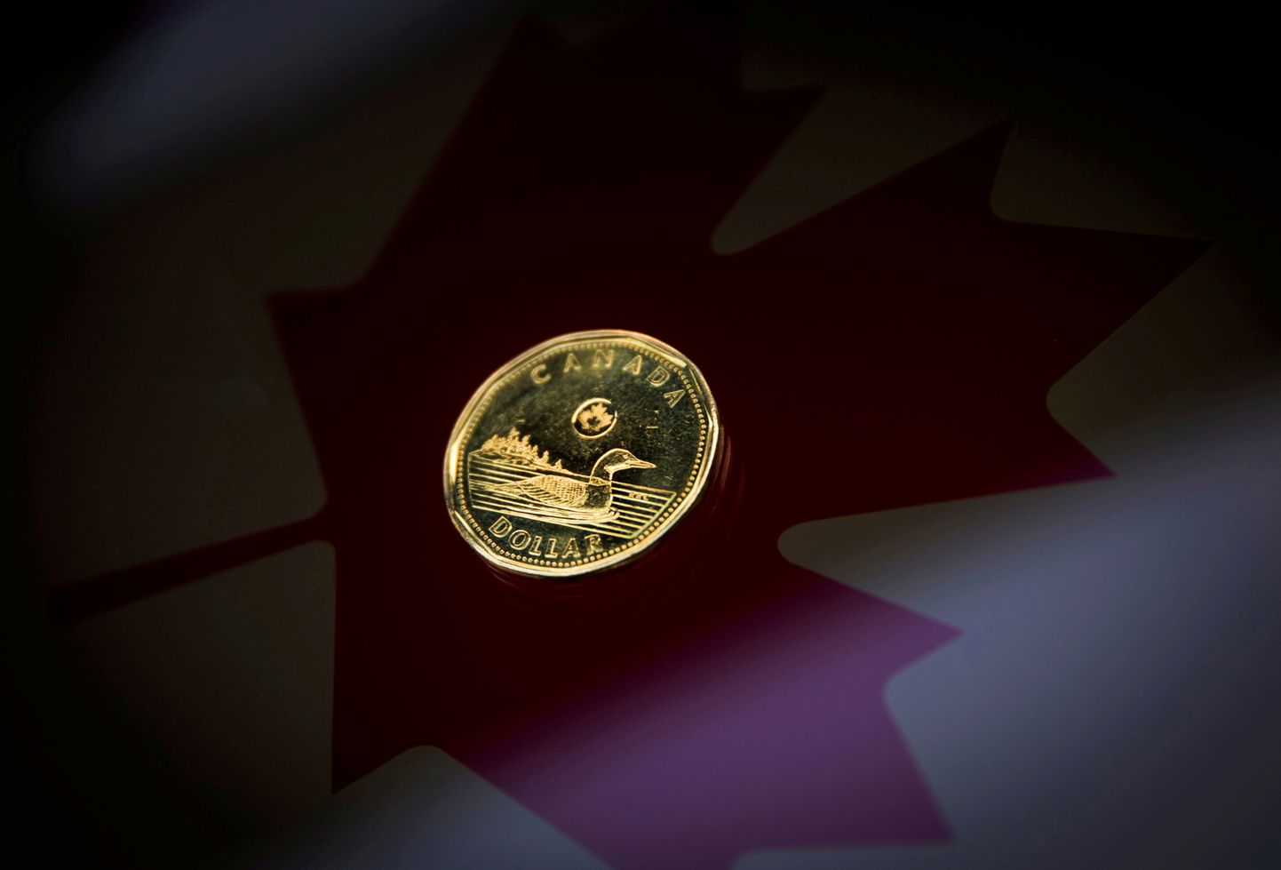 Kanada dollari münt, mida tuntakse «Loonie» hüüdnime all.