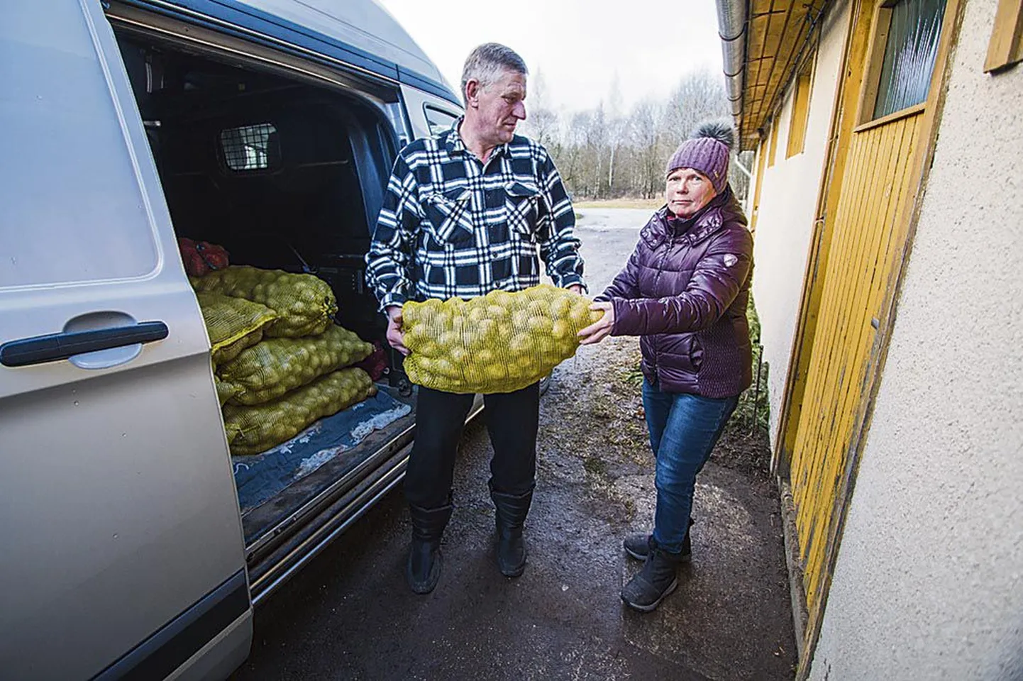 “Kogu elu on siin kartuli ümber keerelnud,” kostab Arnold Palu, aidates kaasa Tiia Lepmetsal täita OTTi ringi koormat.