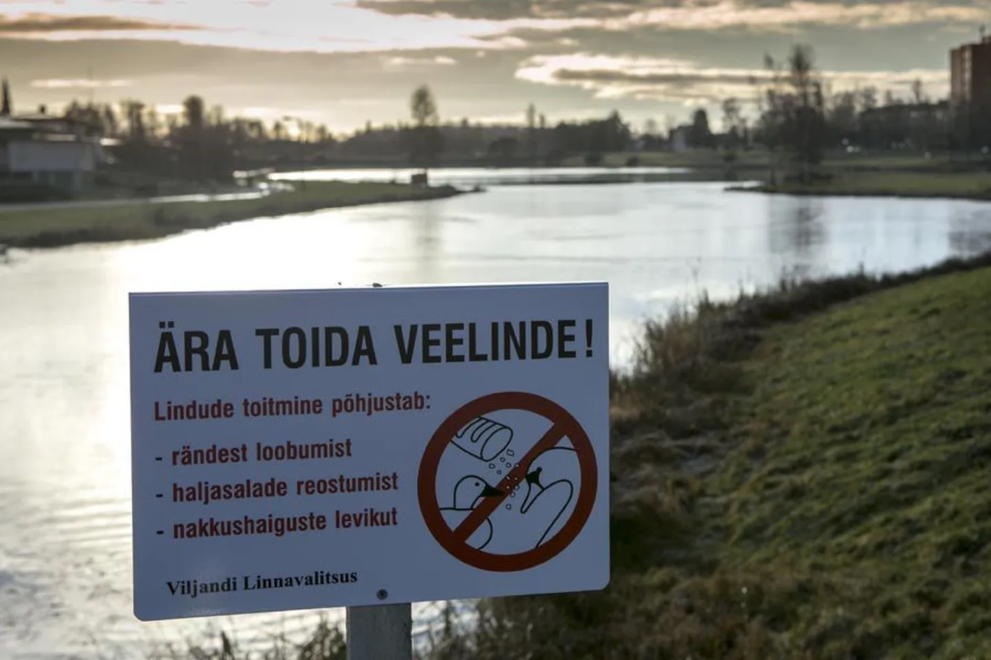 Ülesseatud märkidel on lindude toitmisega kaasnevad ohud selgelt välja toodud.