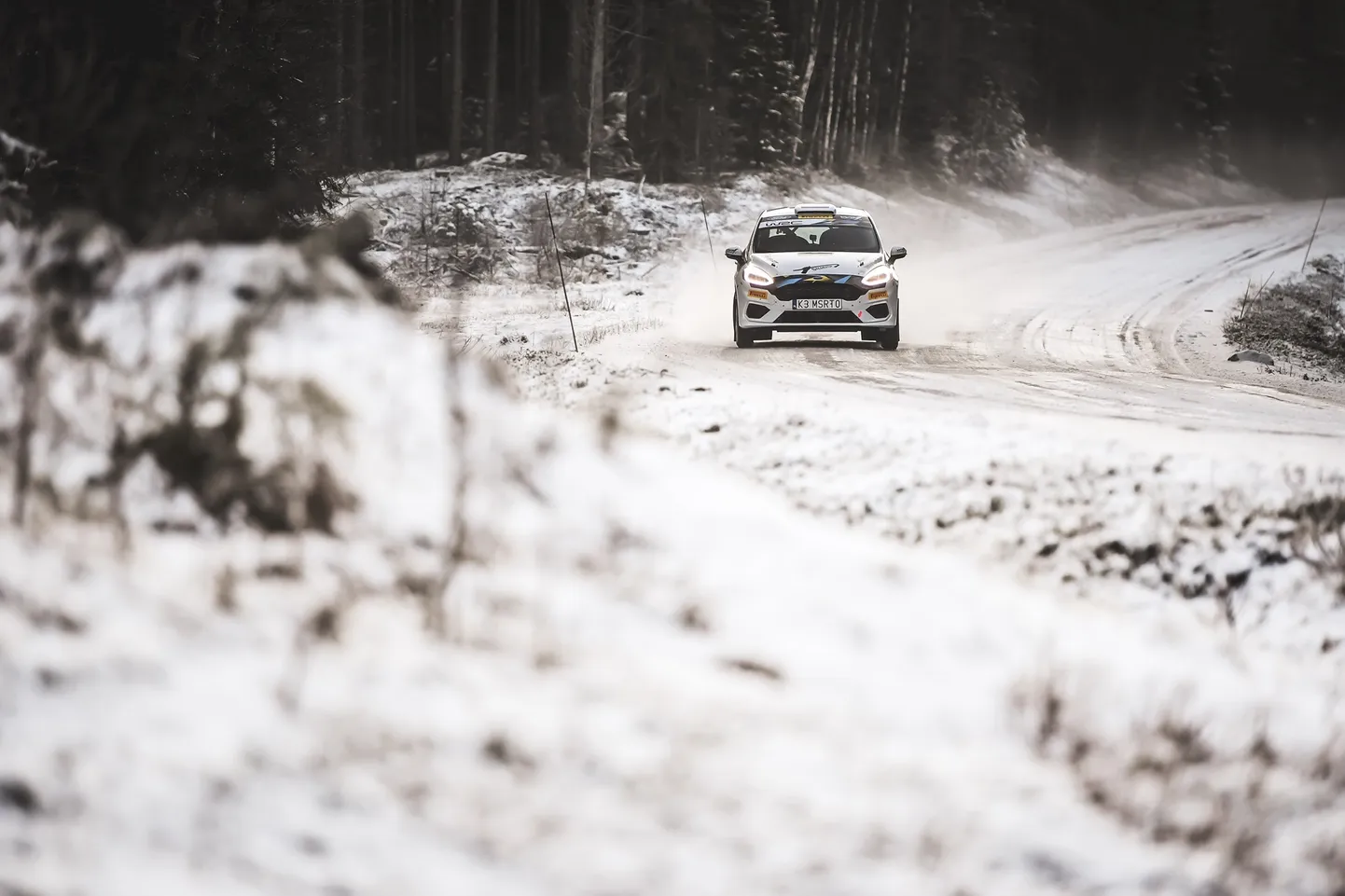 Rootsi ralli.