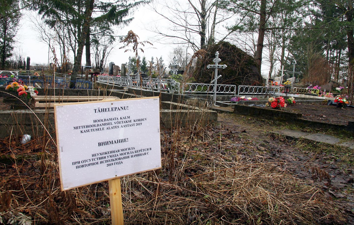 Jõhvi kalmistul on umbes kolmandik hauaplatse hooldamata ja hüljatud ning vald kavatseb juba teist korda panna mahajäetud kalmudele hoiatussildid platsi taaskasutusse võtmise kohta.