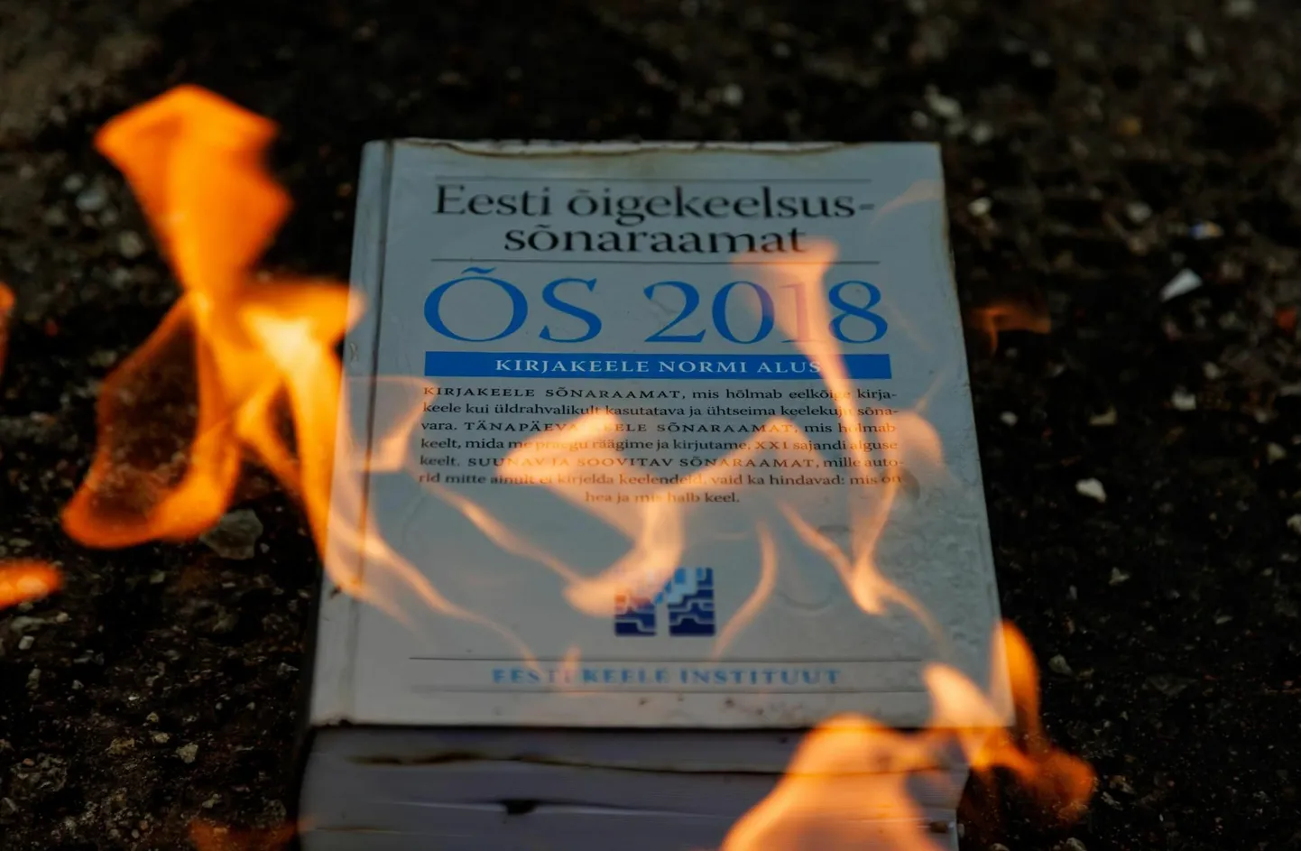 Õigekeelsussõnaraamatut ei tohi tühistada ning saata tinglikule tuleriidale,