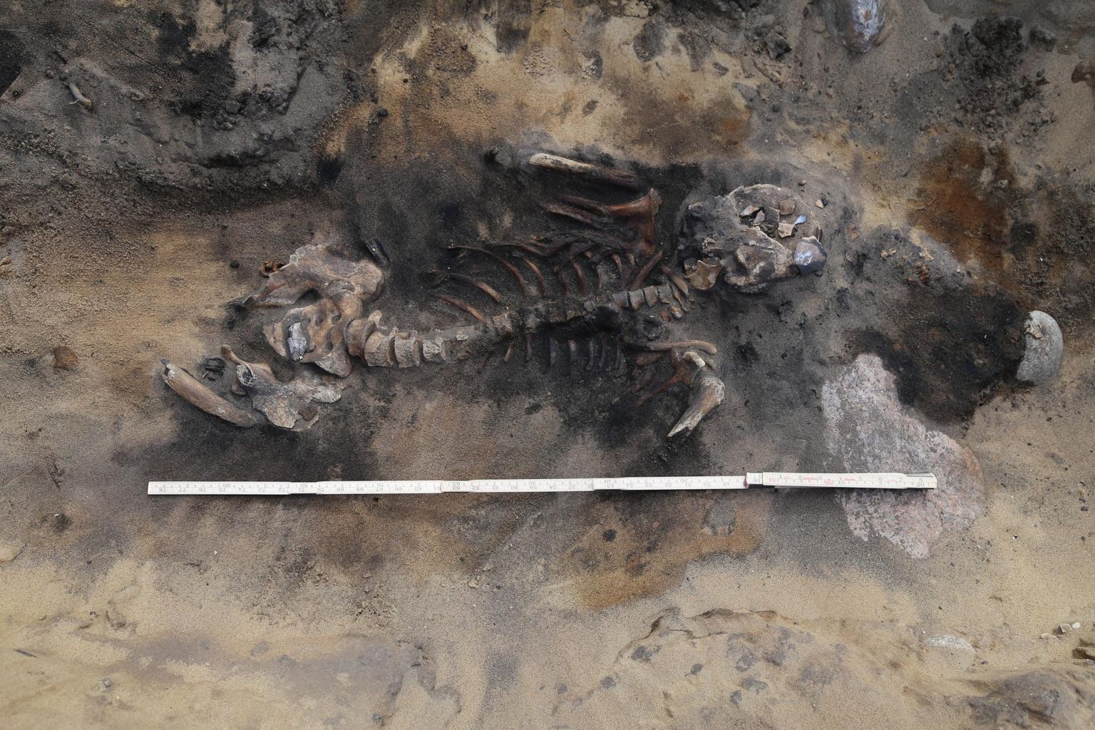 2500 aastat vana skelett.