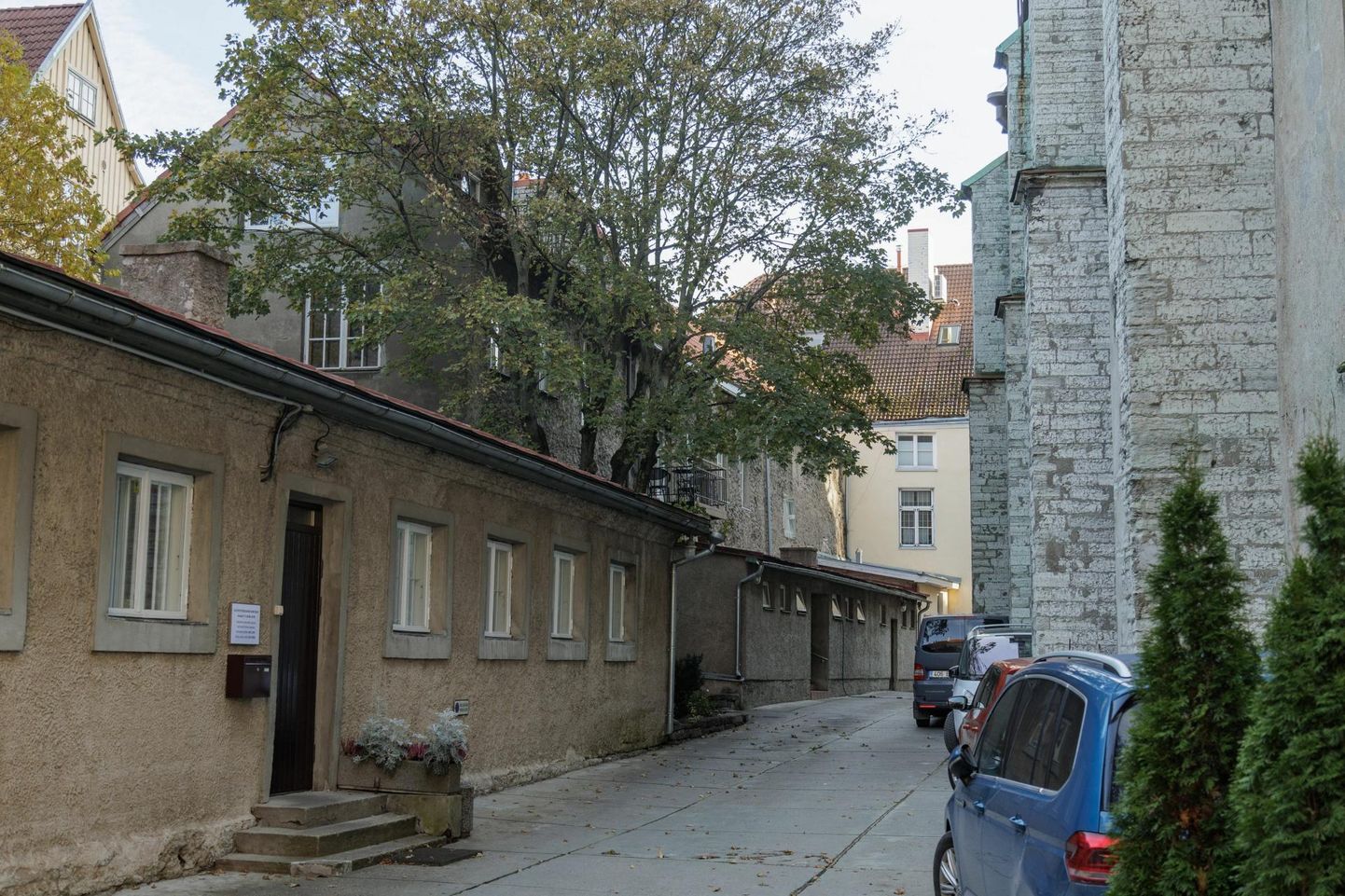 Omaaegse linnakooli täpne asukoht Tallinna Oleviste kiriku lähistel pole teada. Praegused hooned pühakoja hoovis.