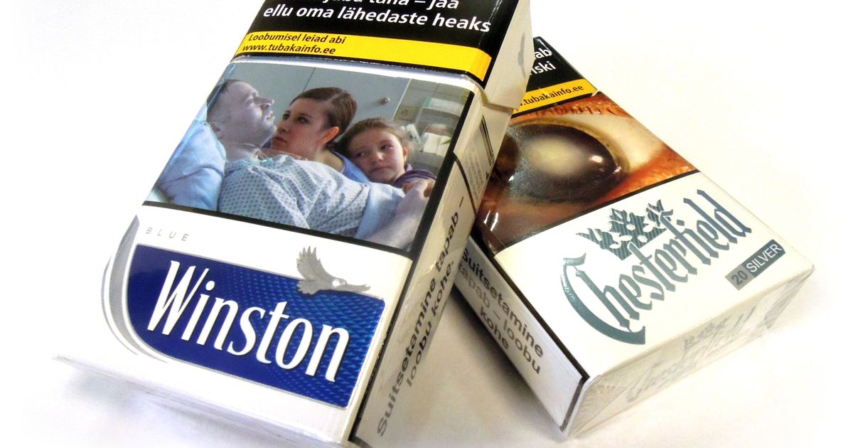 Вот до чего довели российского журналиста «самые омерзительные картинки ...