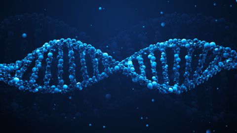 NEW SCIENTIST ⟩ Viirus, mis suudab edastada tohutul hulgal DNA-d, võib parandada geeniteraapiaid