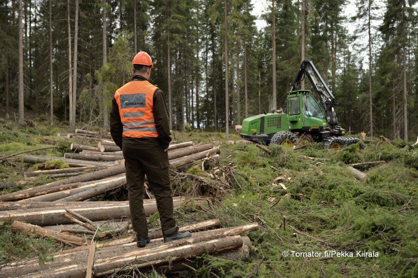 Metsatööd Tornatori krundil Soomes.