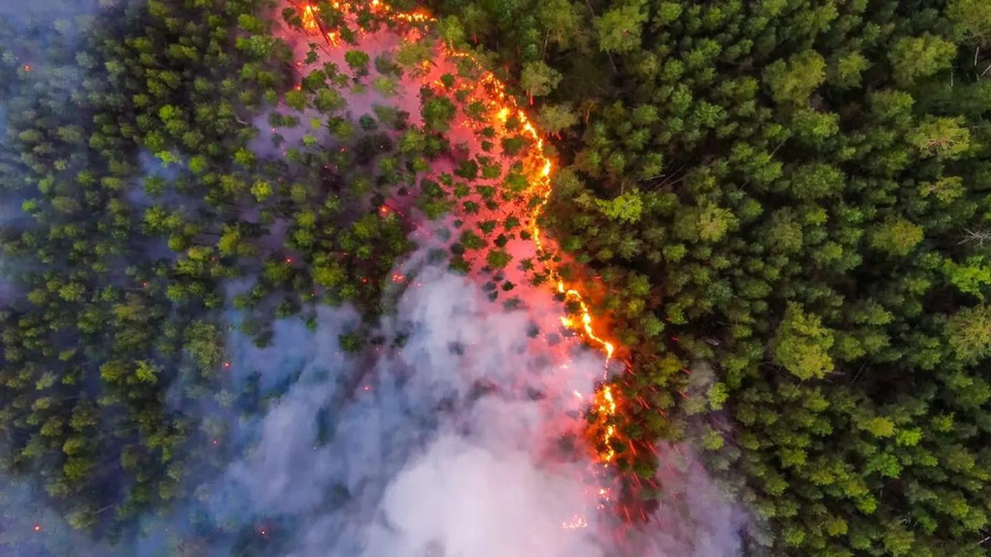 Фото статьи
