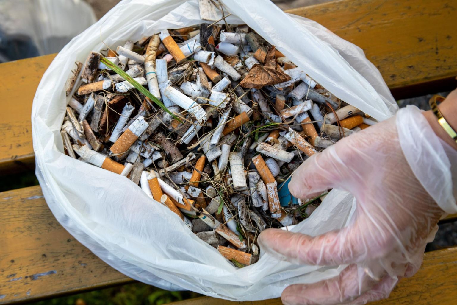 Suitsukonid lagunevad looduses mikroplastiks.