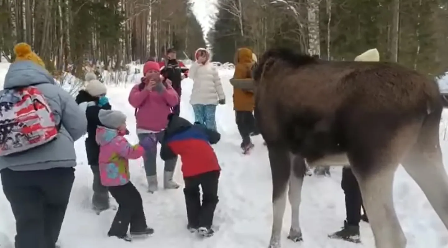 Кадр из видео.