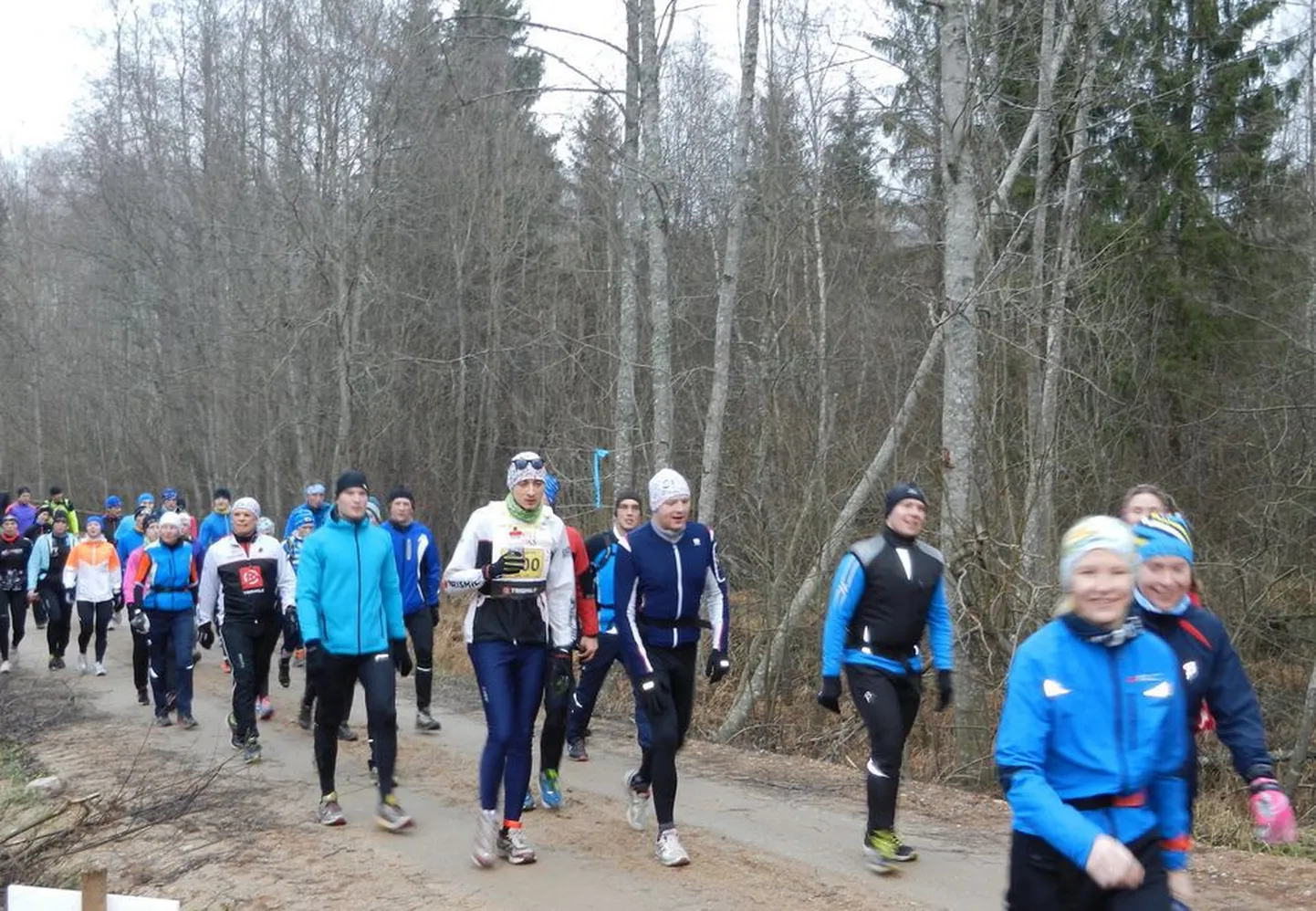 Маршрут забега проходил по живописным местам Тартумаа.