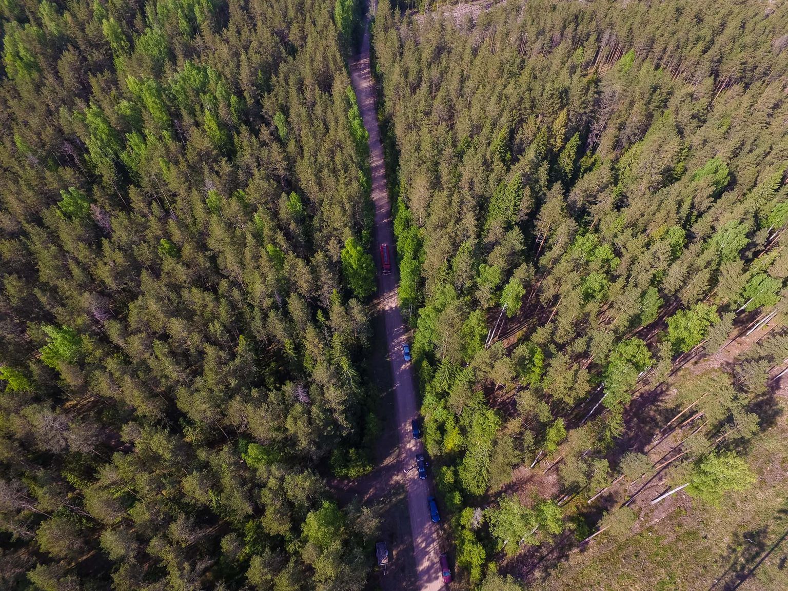 Metsapõleng Hummuli vallas Aitsra külas.